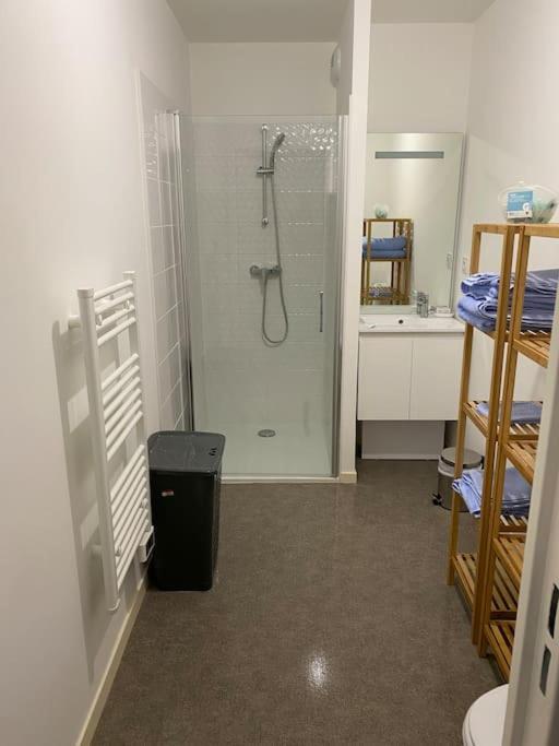 Séné Appartement Aux Portes De Vannes מראה חיצוני תמונה